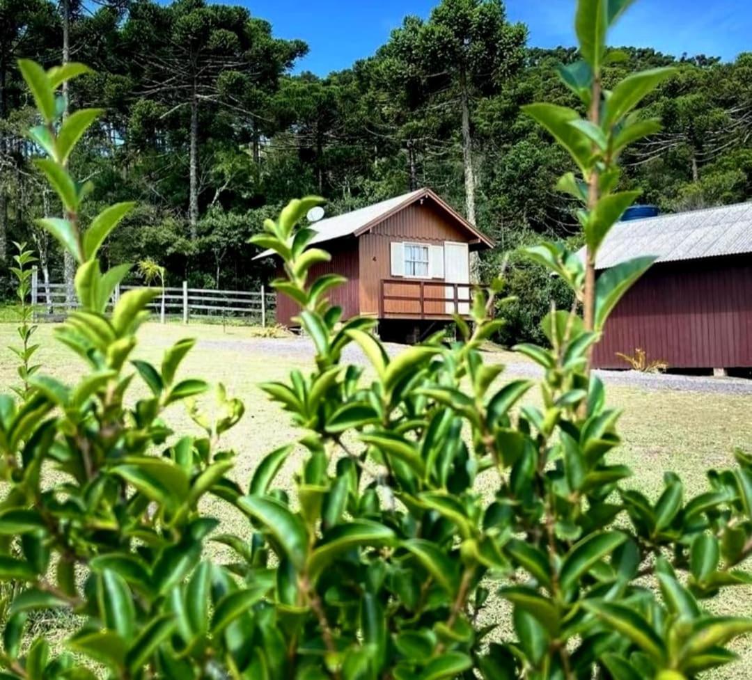 Encanto Das Araucarias Cambará 外观 照片